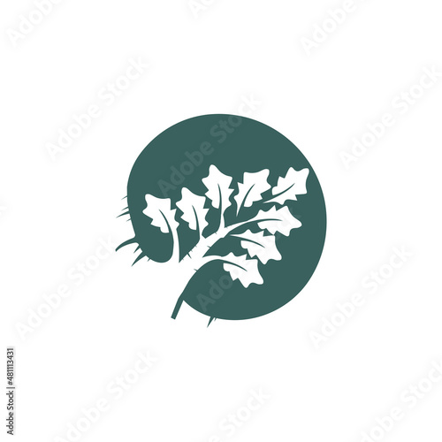 OAK BRANCH LOGO DESIGN VECTOR