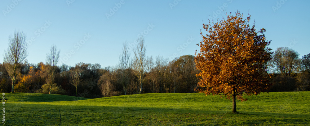 Fototapeta premium Burrs Country Park