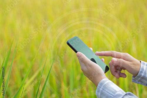 Innovation technology for the smart farm system, Agriculture management, Hand holding smartphone with smart technology in rice field modern technology application in agricultural growing activity