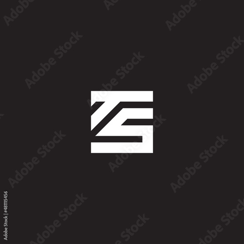 TS INITIAL LOGO DESIGN VECTOR