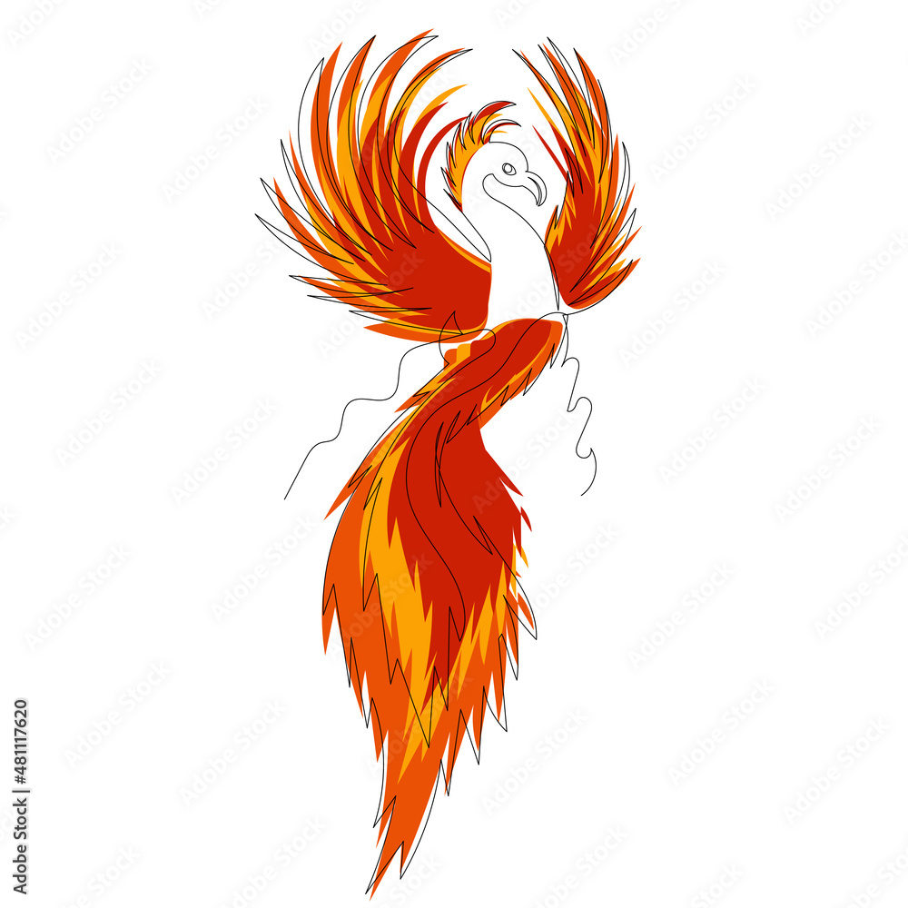 Firebird Line Graphics phoenix bird, firebird line drawing, sketch,vector Stock Vector | Adobe ...