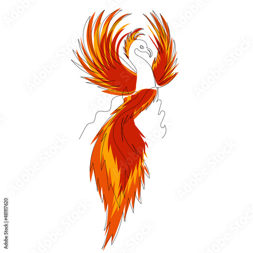 phoenix bird, firebird line drawing, sketch,vector