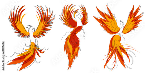 phoenix bird, firebird line drawing, sketch