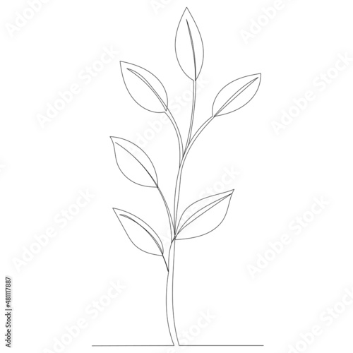plant line drawing   sketch vector