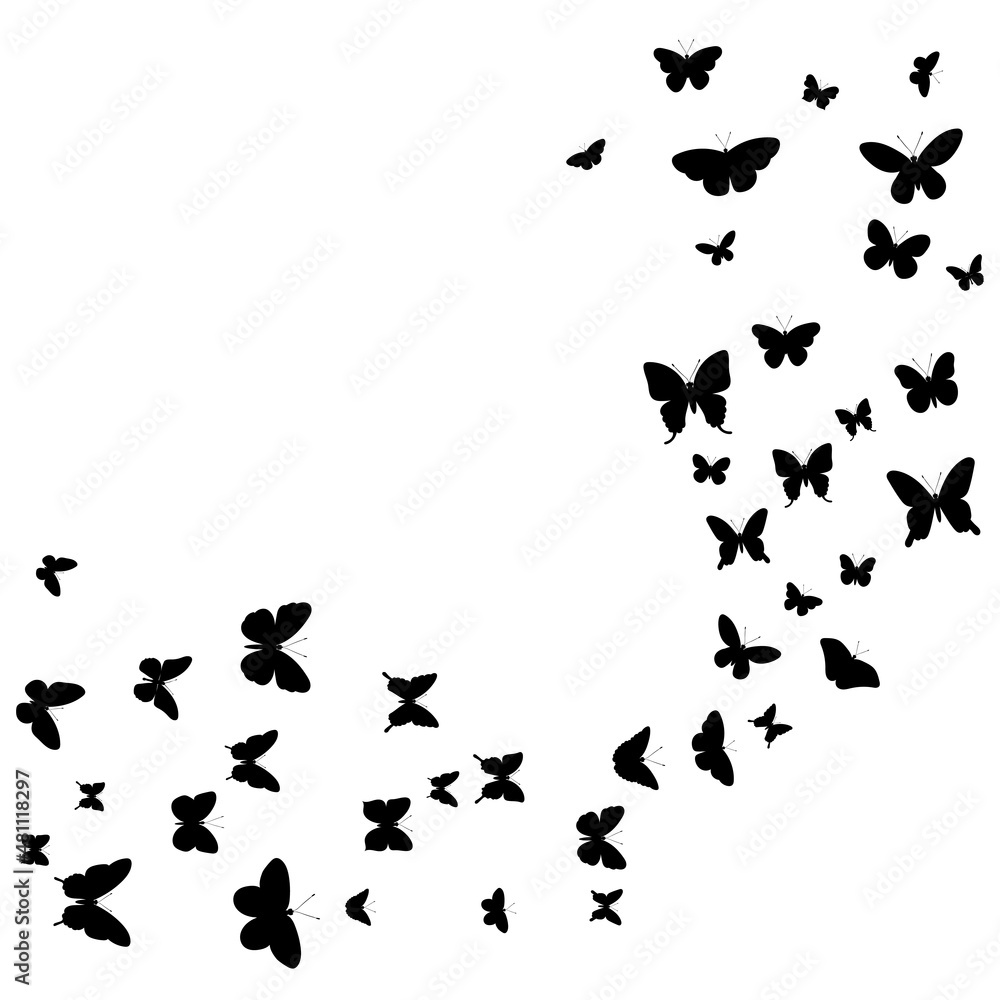 flying butterflies, black silhouette, isolated vector