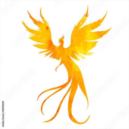 phoenix bird, fire bird watercolor silhouette, isolated