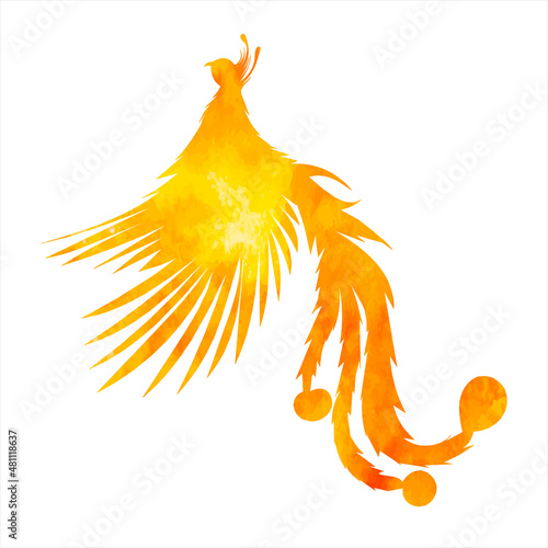 phoenix bird, fire bird watercolor silhouette