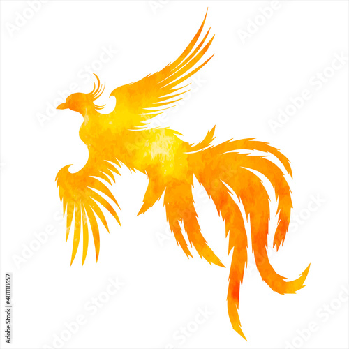 phoenix bird, fire bird watercolor silhouette, isolated vector