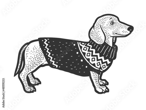 dachshund dog in sweater sketch engraving vector illustration. T-shirt apparel print design. Scratch board imitation. Black and white hand drawn image.