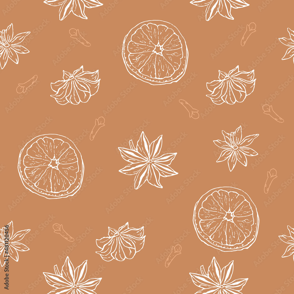 Aromatic cpices dried orange, badian and cloves pattern, hand drawn style