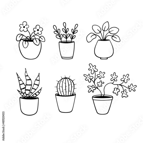 Set of potted plants. Cute hand drawn collection of flowers pots. Doodle illustration house plants for wedding design, logo and greeting card. Isolated on white background.