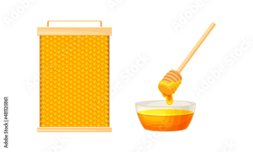 Beekeeping and honey production set. Apiculture product and equipment vector illustration