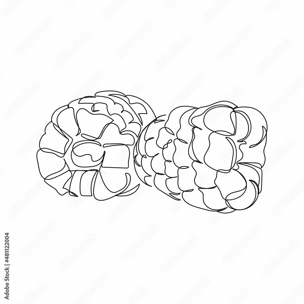 Continuous one simple single abstract line drawing of raspberry fruit icon in silhouette on a white background. Linear stylized. Continuous one simple single abstract line drawing of raspberry fruit icon in silhouette on a white background. Linear stylized.