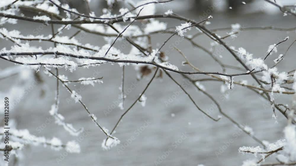 Fluffy snow slowly falls into a non-freezing stream with a snow-covered shore Fluffy snow slowly falls into a non-freezing stream with a snow-covered shore