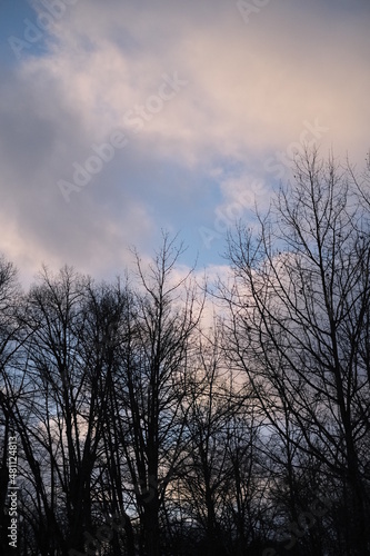 sunset in the sky
