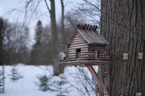 bird house in the snow © Диана Акчурина