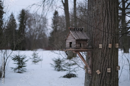wooden bird house