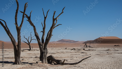 Namibia, Dead Vlei, Namib-Naukluft Park © Dave