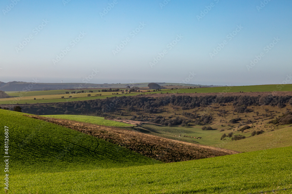 A rolling green South Downs landscape viewed from Ditchling Beacon