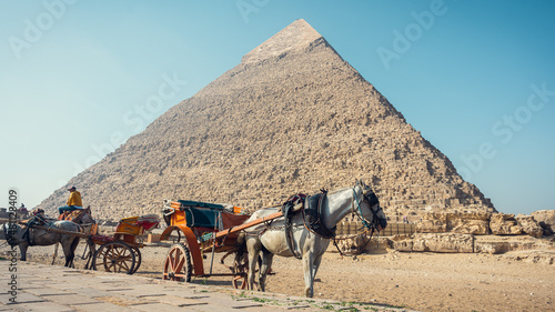 Wallpaper Mural egypt Torontodigital.ca