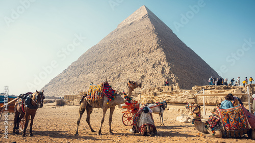 Wallpaper Mural egypt Torontodigital.ca