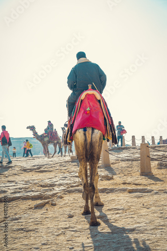 Wallpaper Mural egypt Torontodigital.ca