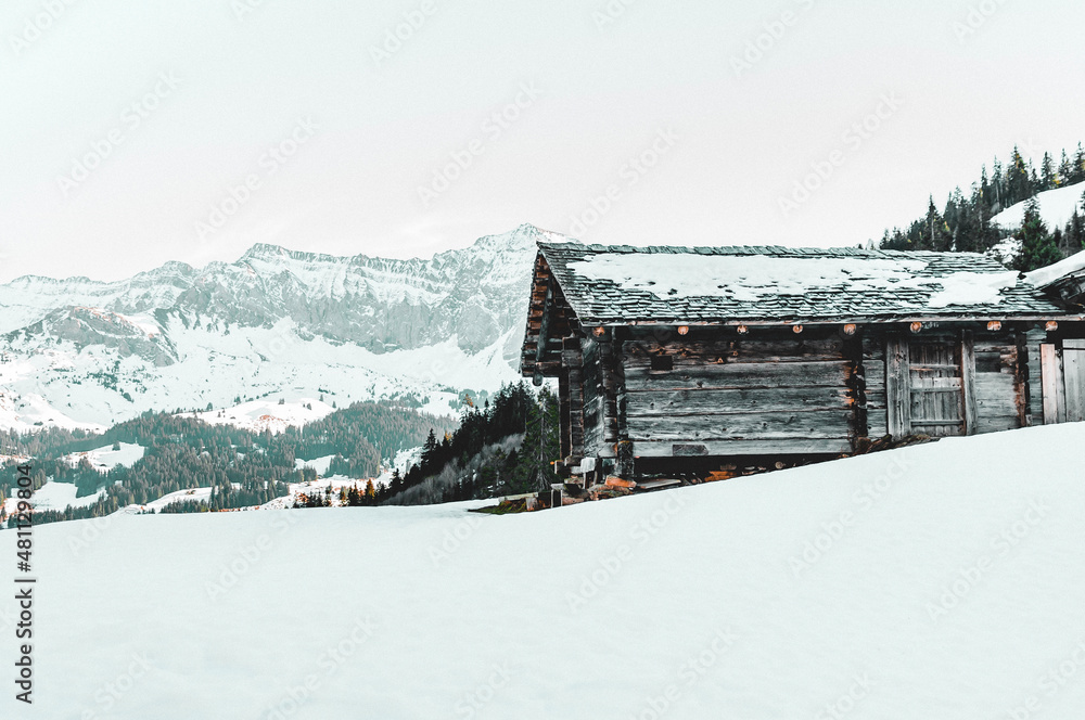 Naklejka premium ski resort