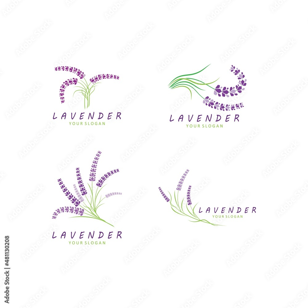 Fototapeta premium Fresh Lavender flower logo vector flat design