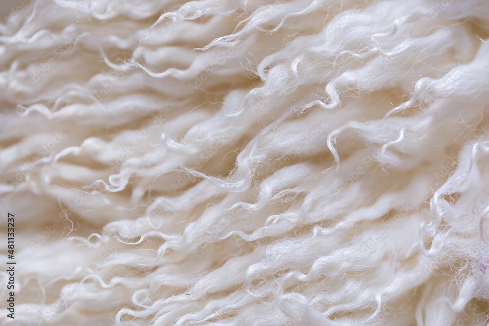 White animal fur. Weasel or cat hair. Fur clothes, white fur coat close up. Eco-wool, eco-leather artificial fur. White animal fur. Weasel or cat hair. Fur clothes, white fur coat close up. Eco-wool, eco-leather artificial fur.