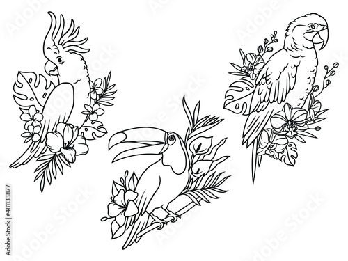 Set of exotic birds with flower. Collection of tropical birds on a floral branch cockatoo, toucan, hummingbird. Wildlife. Botanical. Vector illustration of animals on a white background.