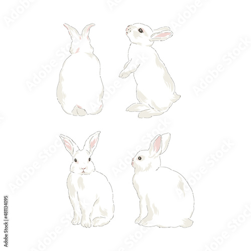 Cute spring Easter bunny hand drawn vector illustration set isolated on white. Vintage classic aesthetic print.