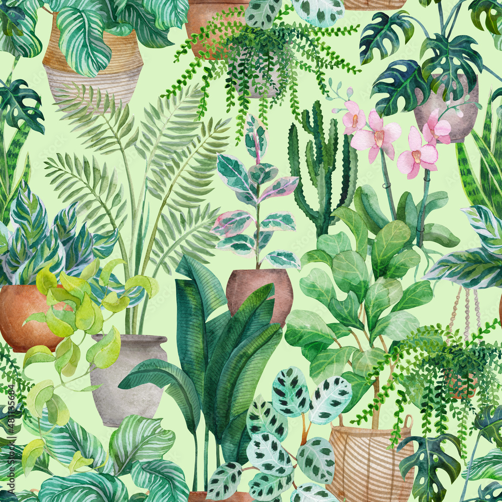 Fototapeta Home plants in pots. Seamless floral pattern with tropical plants