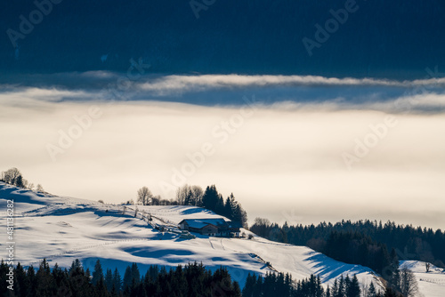 Fototapeta Naklejka Na Ścianę i Meble -  beautiful view of a foggy valley in the morning at a sunny winter day on the mountains