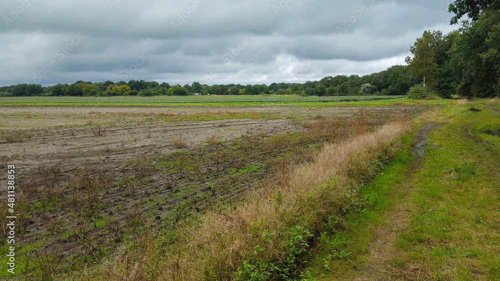 Harvested agricultural field, Drenthe, Netherlands