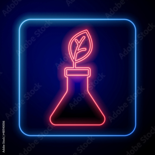 Glowing neon Plant breeding icon isolated on black background. Plants growing in the test tubes. Organic food ,agriculture and hydroponic. Vector