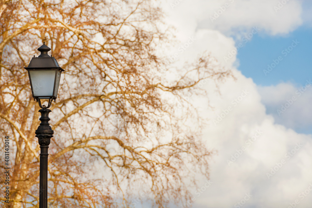 Old fashioned street lamp against winter bare tree branches as background Old fashioned street lamp against winter bare tree branches as background