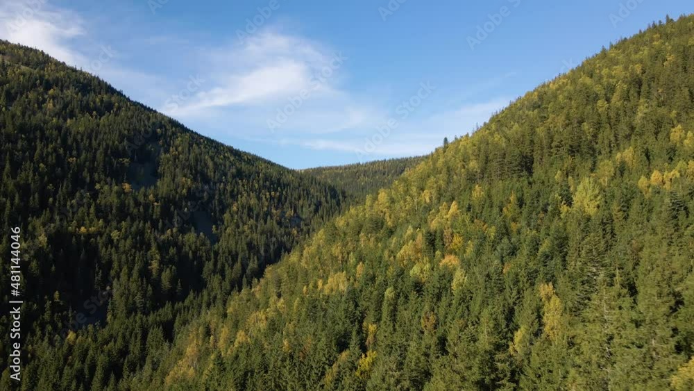 Aerial view of high hills with dark pine forest trees at autumn bright day. Amazing scenery of wild mountain woodland Aerial view of high hills with dark pine forest trees at autumn bright day. Amazing scenery of wild mountain woodland