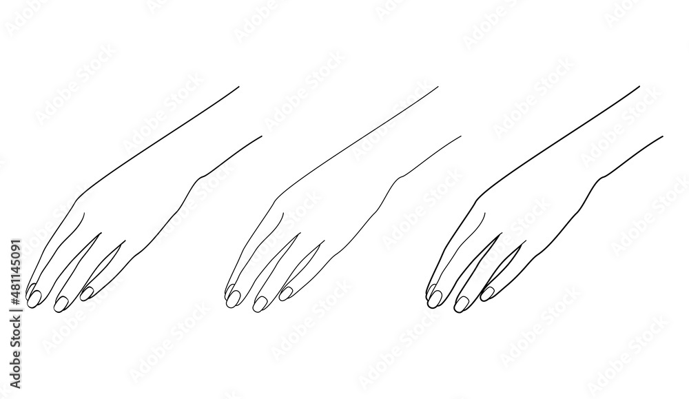 Graceful female hand. Gestures. Line drawing. Vector illustration Graceful female hand. Gestures. Line drawing. Vector illustration