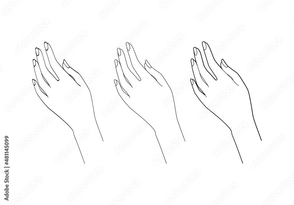 Obraz premium Graceful female hand. Gestures. Line drawing. Vector illustration