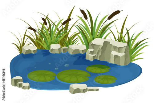 Lake, swamp with stones, bulrush lily leaves in cartoon style isolated on white background. Forest fantasy scene, wild nature.