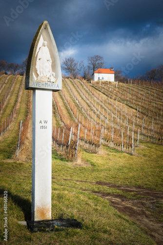  Waycross at a vineyard in Burgenland with a statue of saint rosalita photo