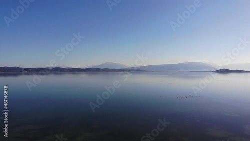 Wallpaper Mural 4k drone forward video. Bright morning view of narta lagoon and flamingo. Beautiful spring seascape of Narta Lagoon, Albania, Europe. Torontodigital.ca