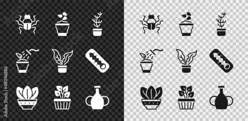 Set Beetle bug, Seeds in bowl, Exotic tropical plant pot, Plant, Indoor ivy, Vase, Spraying and icon. Vector