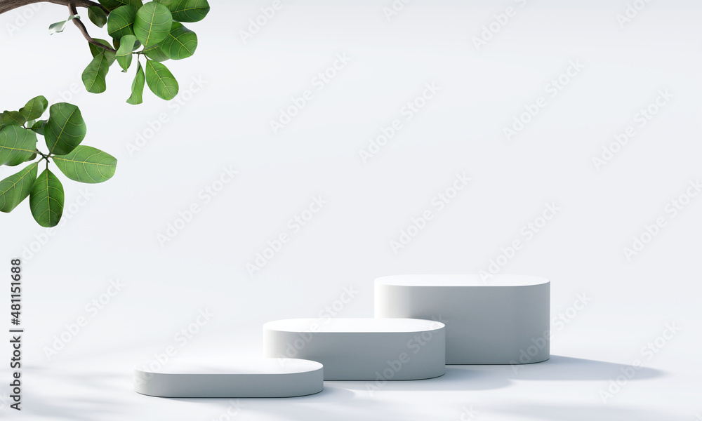 White product display podium with nature leaves and branches. 3D ...
