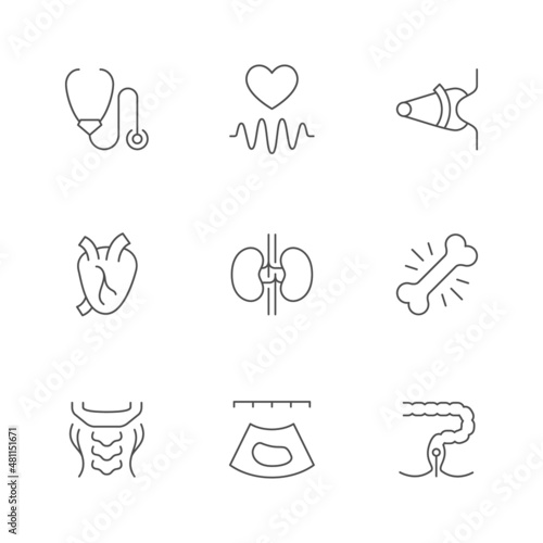 Set line icons of checkup