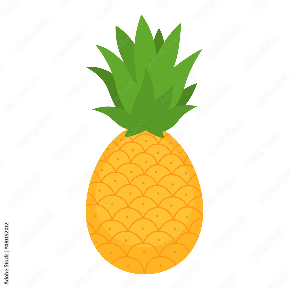 Pineapple whole fruit for package design. Summer tropical fruit cartoon flat icon isolated on white background. Organic food, healthy nutrition, vegetarian product. Vector illustration. Pineapple whole fruit for package design. Summer tropical fruit cartoon flat icon isolated on white background. Organic food, healthy nutrition, vegetarian product. Vector illustration.