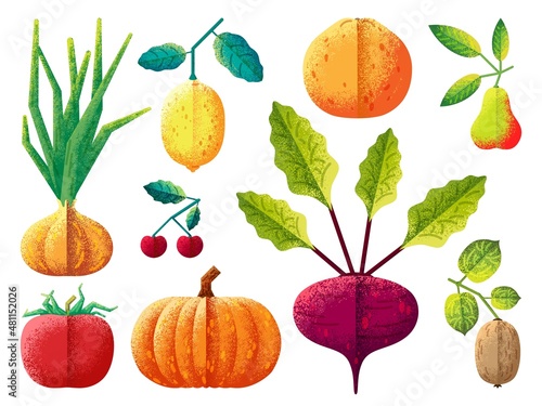 Fruits and vegetables. Flat vegetable, fruit harvest. Quality textured lemon, tomato, onion, pumpkin. Isolated drawing healthy food, swanky vector agriculture icons