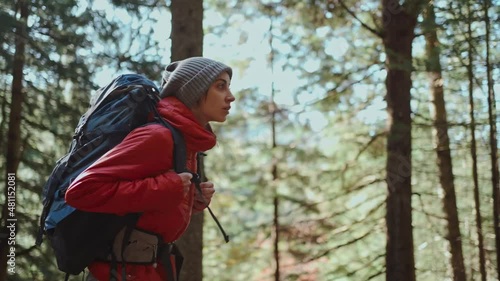 Wallpaper Mural tracking shot of female hiker in forest. girl tourist with backpack walk through woods with morning sunlight. solo travel tourism and girl feminism concept success. hiker walk through pine forest. Torontodigital.ca