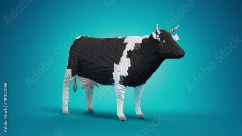 Toy blocks. Cow figure assembling from toy bricks on a blue studio background. 3d render animation.	
