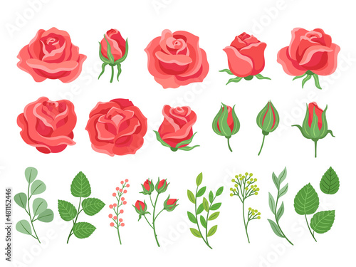 Red roses cartoon. Burgundy rose and green leaves. Blooming plants, garden branches for bouquet. Isolated wedding or birthday cards neoteric vector elements